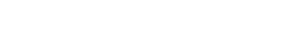Paez Electronics